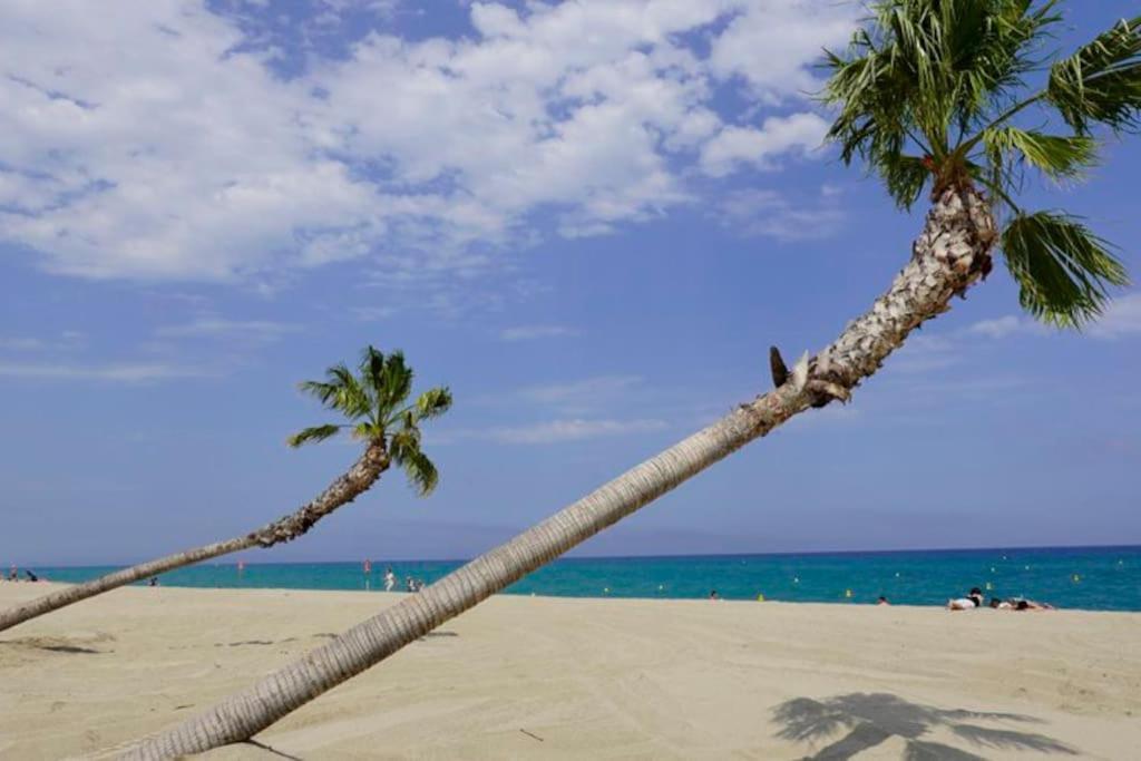 A 500 M De La Plage, Tout Confort Avec Wifi Le Barcarès Екстериор снимка
